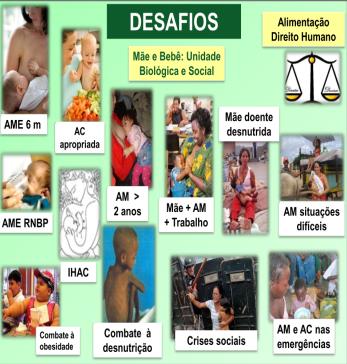 2002 Estratégia Global Para Alimentação de Lactentes e Crianças de 1ª.