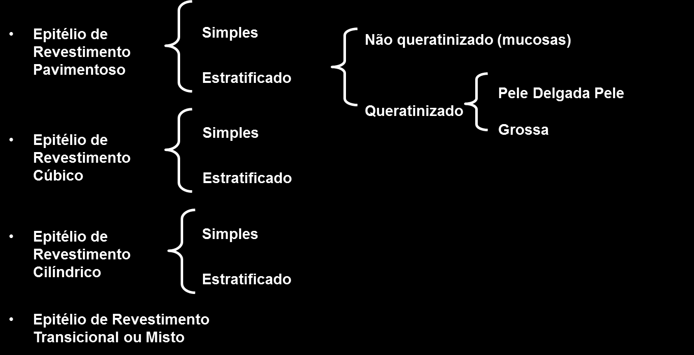 Tecido Epitelial de Revestimento Exemplos de Localização Pavimentoso simples Pavimentoso estratificado não queratinizado Pavimentoso estratificado queratinizado de pele delgada (pele pilosa)