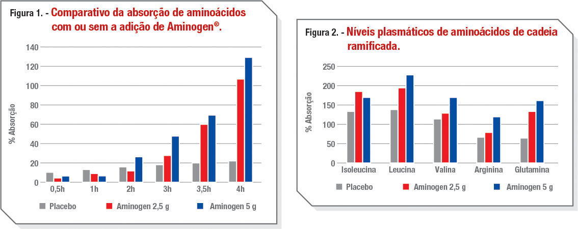 Benefícios do Aminogen na absorção de aminoácidos presentes no whey protein.