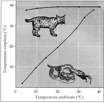 c) B compete com a população A pelos mesmos recursos ambientais. d) B poderia ter se contaminado por algum tipo de virose. e) B se reproduziu mais do que a população A.