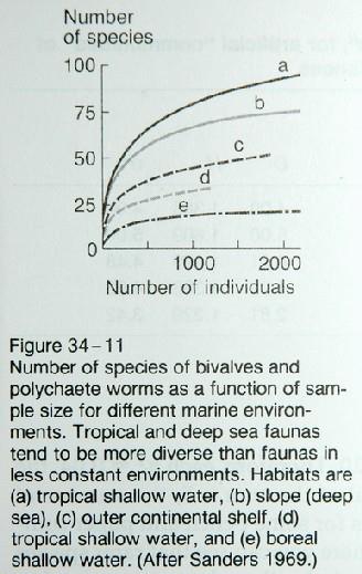 Uma derivação influente na ecologia marinha Hipótese da estabilidade-tempo (Sanders, 1968) Ambientes favoráveis constantes, previsíveis Ausência de
