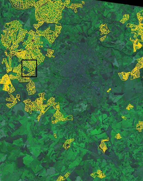 Esta separabilidade identificou não só as diferentes fases fenológicas da lavoura da cana, como também mesclou respostas do substrato, principalmente umidade e outras características do solo