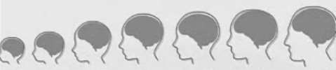 Aspectos neurobiológicos do TEA RNT 1 ano 3 anos 5 anos 7 anos 10 anos Adulto 25% 70% 85% 92% 95% 98% 100% Blinkov and Glezer, 1968 1,4 kg Ao