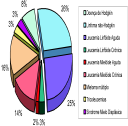 Percentuais de leucometria inicial (/mm3) de pacientes estudados no protocolo GBTLI LLA-93 e na Unidade de Saúde Oncoclínica São Marcos Natal/RN.