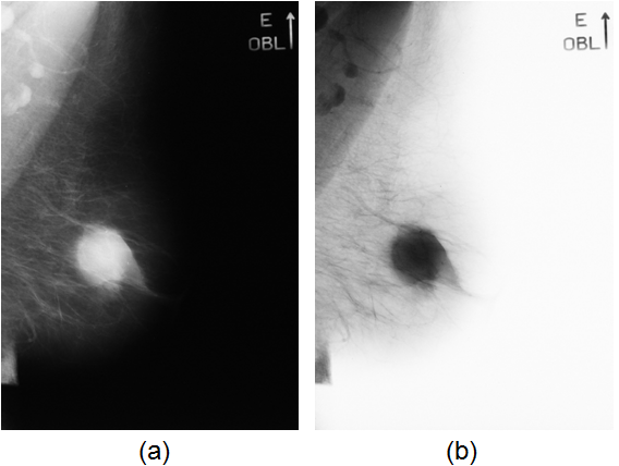 CAPÍTULO 3. MINERAÇÃO E PROCESSAMENTO DE IMAGENS 65 onde: 0 r k 1; k = 0,1,.