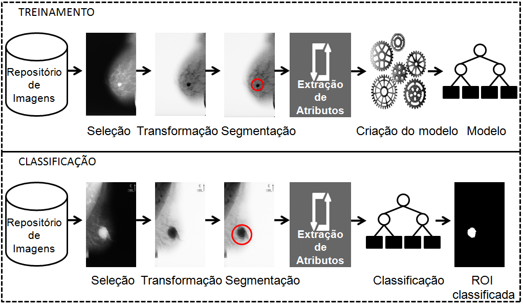 CAPÍTULO 4. METODOLOGIA E MAMOCAD 77 Seleção: a mamografia que passará pelo processo de classificação é selecionada.