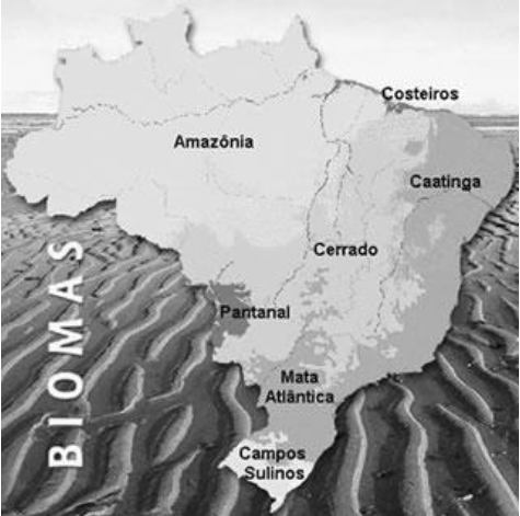 3ª Questão: Observe o mapa abaixo em que estão representados os grandes biomas do Brasil: FONTES:http://www.jornaldomeioambiente.com.br/JMA-NaturezaBrasileira/mapabiomas.