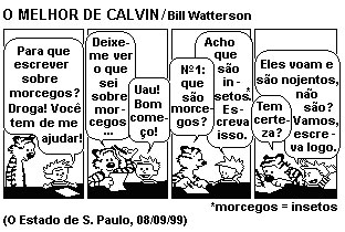 Ao se referir aos morcegos, Calvin estava: a) Correto, pois somente os insetos e as aves podem voar. b) Errado, pois o morcego pertence a classe das Aves.
