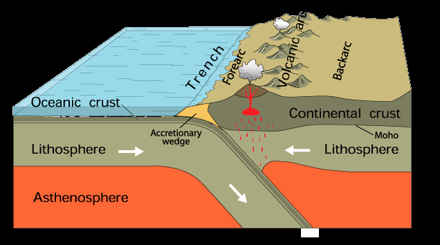 As fossas oceânicas ou abissais são as regiões mais profundas dos oceanos.