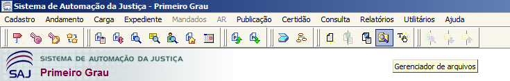 7.5 O editor de texto será aberto e as alterações e inclusões do texto poderão ser feitas diretamente no documento.