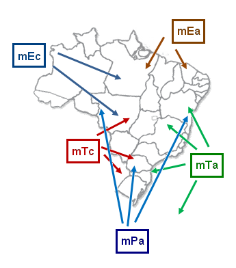 - Massas de Ar: porções (grandes) de ar que se formam em regiões de condições homogêneas (áreas polares, desertos, oceanos etc).