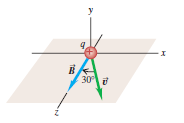 Exemplo Um feixe de prótons (q = 1,6x10-19 C) s move a 3,0x10 5 m/s em um campo magnético uniforme, com módulo igual a 2,0 T, orientado a longo do eixo positivo Oz, como mostra a figura abaixo.
