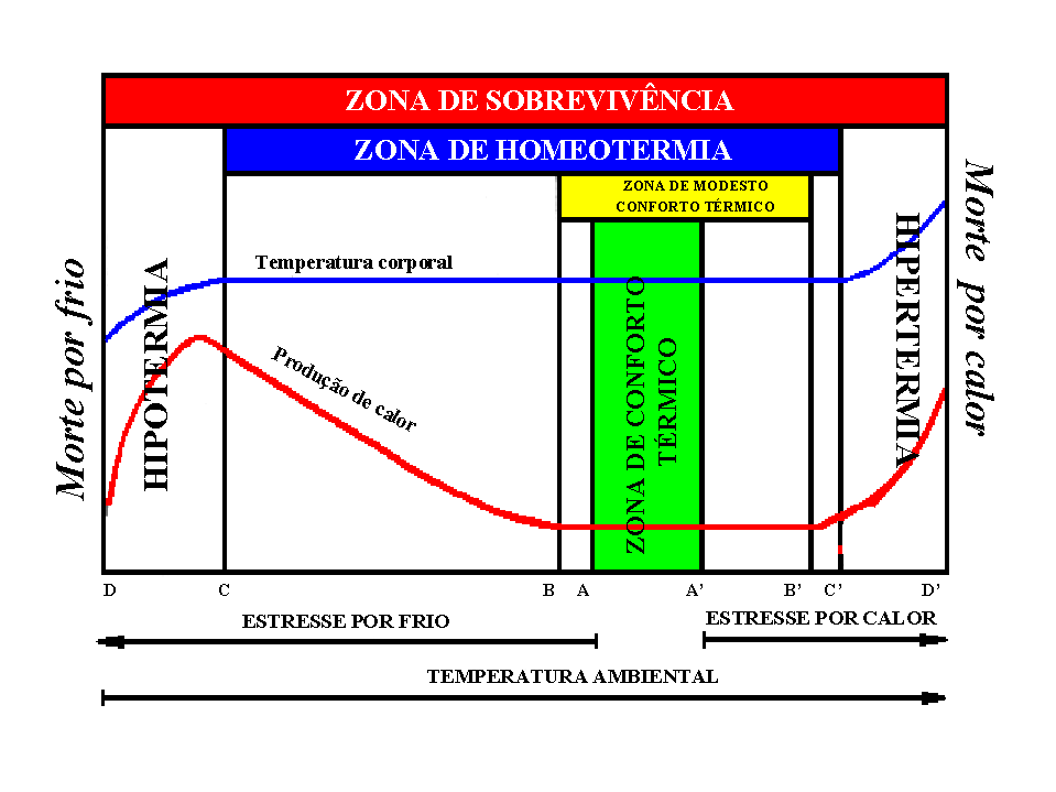 Figura 2 Representação esquemática simplificada das temperaturas efetivas. Adaptado de Curtis 1983.