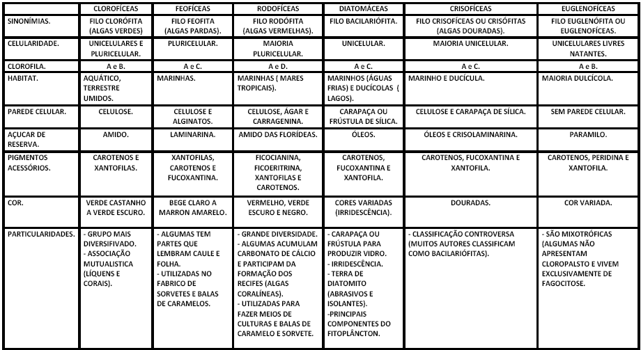 Prof. Fred PRIMEIRA E SEGUNDA AULA: ALGAS INTRODUÇÃO Algas são organismos eucarióticos que fazem fotossíntese; Têm organização corporal simples; Vivem no mar, lagos, rios ou superfícies úmidas;