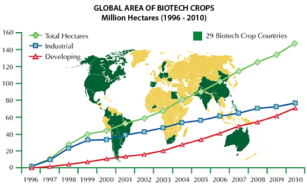 E Portugal aparece nos mapas mundiais dos pellets e culturas energéticas O mercado dos pellets A Europa é o centro mundial consumidor de pellets. As exportações portuguesas de biomassa (cerca de 700.