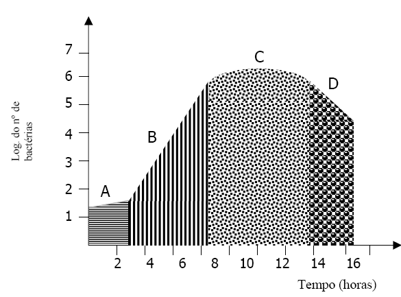 Curva de crescimento bacteriano Quando uma bactéria é semeada em um meio apropriado, nas condições apropriadas, o seu crescimento segue uma curva definida e característica: A Fase Lag: pouca divisão