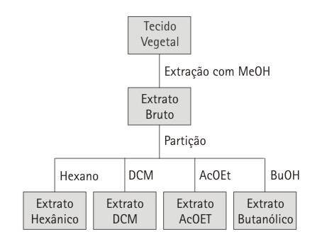 Avaliação da atividade antifúngica de extratos de Cassia fistula (leguminosae) 2 Material e Métodos 2.3 Avaliação da atividade antifúngica 2.