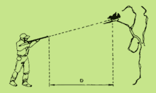P 439. (UNIP SP) Um atirador aponta um fuzil diretamente para um pequeno pássaro parado no alto de uma árvore. Não se considera o efeito do ar e admite-se o campo de gravidade uniforme.