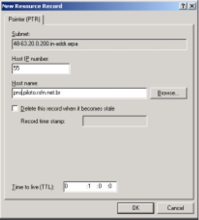 (nome do host + domínio) do servidor. Clique em OK para finalizar a criação do registro PTR.