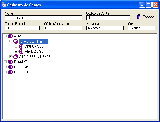 3.6 Conta - CTB_CadConta.dll Este programa é usado para cadastrar as contas pertencentes ao plano de contas selecionado nos Parâmetros da Contabilidade da unidade em que o usuário logado.