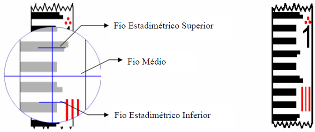 ESTÁDIA DO