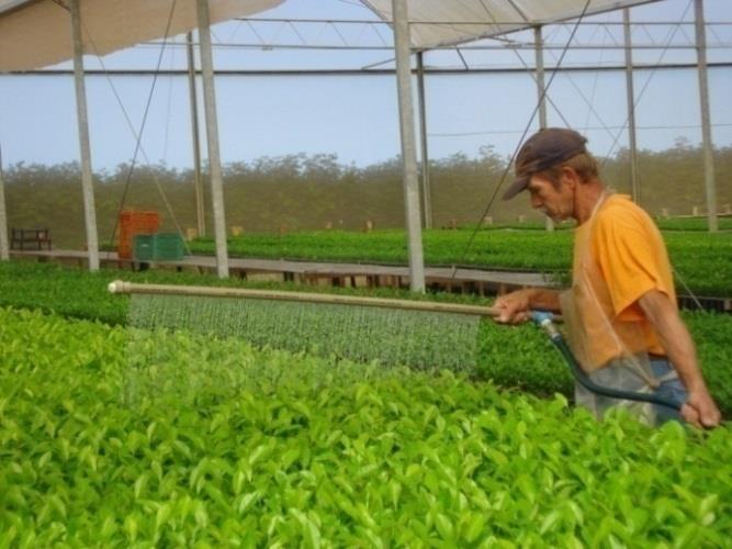 chuveiros barras perfuradas Custo de implantação e manutenção