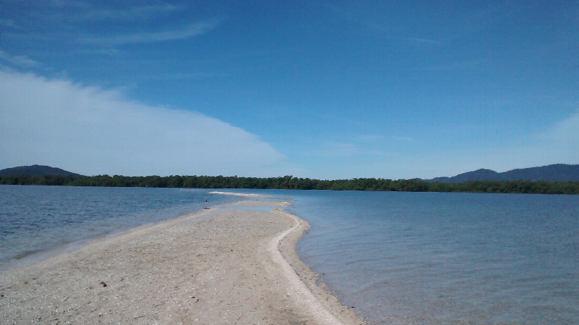 Experiência de barco: Um dia inesquecível A 5 km entre o aeroporto de Florianópolis e o centro, fica um dos maiores patrimônios naturais e.