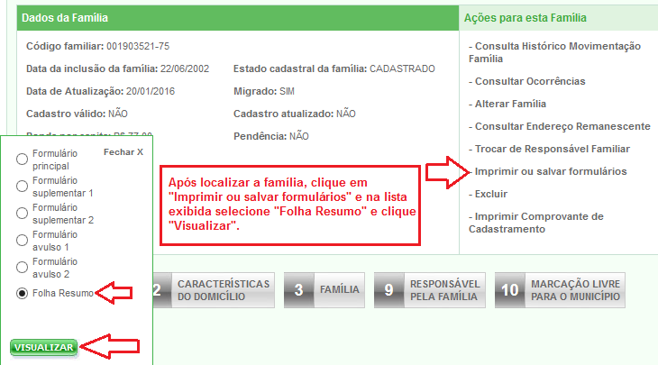O formulário preenchido com os dados da família é exibido em PDF e pode ser salvo ou impresso pelo usuário. 10.12.