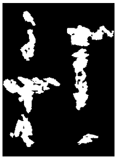 Capítulo 3. Desenvolvimento 32 presente na imagem. Portanto, a partir de experimentos realizados por meio da conectividade de pixels é possível analisar cada área conectada.