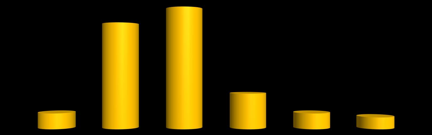 Perfil Respondentes Feminino 1,3% NR 5,1% Masculino 93,6% O público masculino é o que possui maior interesse no tema cervejas artesanais.