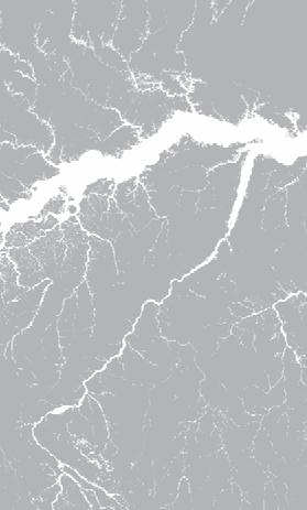 Fontes de sedimentos e nutrientes: Rio Solimões-Amazonas, Rio Içá, Rio Jutai, Rio Japurá, Rio Juruá, Rio Purus.