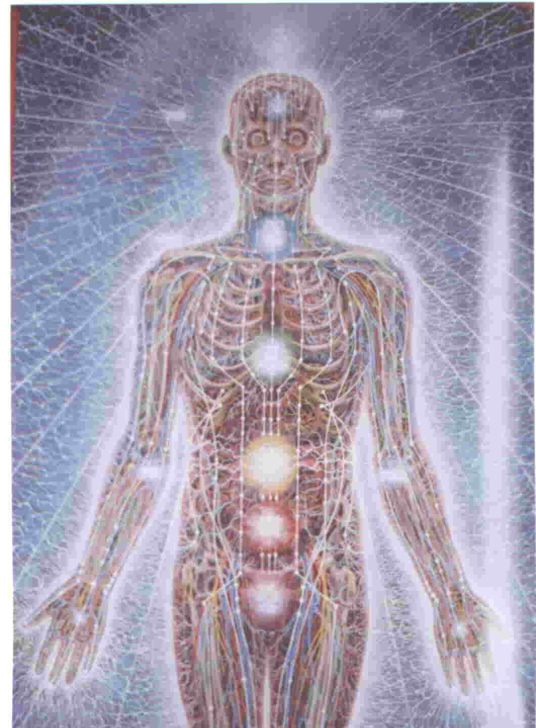 Treinar Ideoplastia Direito Esquerdo GURUCHAKRA (sabedoria) LALANA (percepção da necessidade existencial) SAHASRARA (972 nadis) Chakra coronário AJNA (96 nadis) Chakra frontal VISHUDDHA (16 nadis)