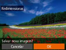 A imagem salva será exibida. Não é possível editar imagens gravadas com resolução de [ ] (= ). Imagens RAW não podem ser editadas.