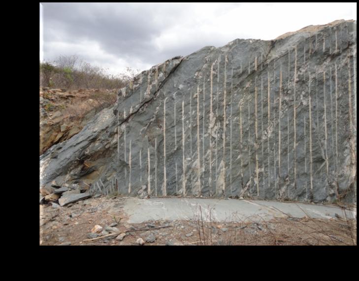 Projetos Igaracy 2 Mapeamento Geológico Rocha metasedimentar silificada, hospedeira da mineralização de ouro, na zona de cisalhamento Igaracy.