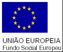 Regras para um website eficaz Categorização dos conteúdos estrutura lógica dos conteúdos Condensação conteúdos simples e directos Consistência e previsibilidade Uso racional da tecnologia Recurso a