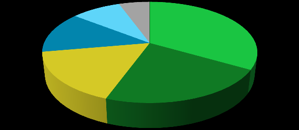 Público Corporativo 35% Usuário 65% TI Negócios 17% 11%