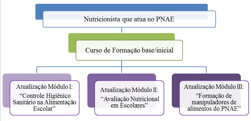 de metodologias pré-definidas e nos quais são discutidos os assuntos: DHAA; SAN; histórico, legislação e funcionamento do PNAE; e atribuições dos atores no Programa.