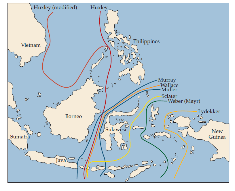 PROVINCIALISMO São as linhas geográficas desenhada por Wallace s (mais antiga) e mais tarde por outros autores os limites entre a biota oriental e regiões australianas.