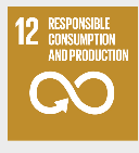 12 Assegurar padrões de consumo e de produção sustentáveis 12.