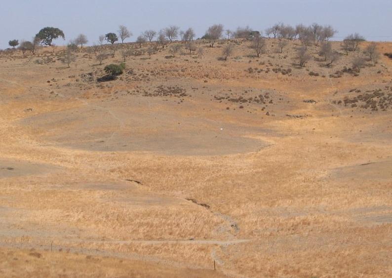 Conceito Secretário Geral das Nações Unidas É um dos processos mais alarmantes de degradação ambiental (2006) A desertificação é uma das mais trágicas consequências do uso