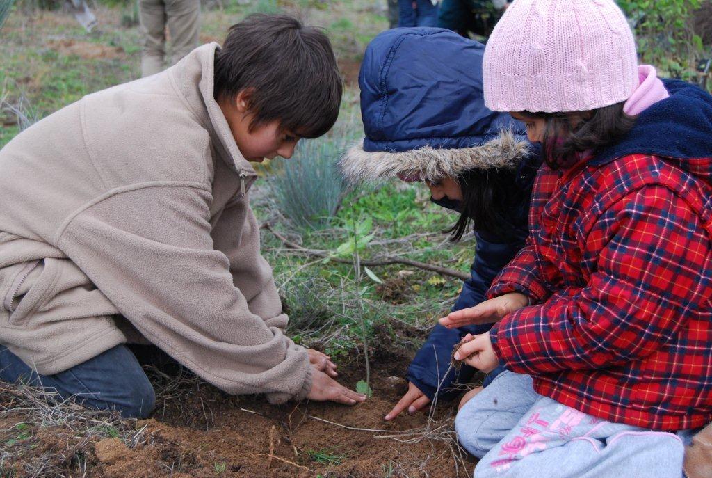 Figueira de Castelo Rodrigo (Faia Brava) Associação Transumância e Natureza Desertificação um Problema Ambiental Global: Soluções Locais Caso da Região Centro Soluções Locais - Papel das ONG Figueira