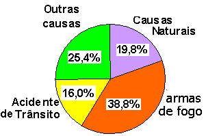 Jovens, as maiores vítimas Se considerarmos todas as mortes (naturais ou por causas externas) dos jovens brasileiros (15 a 24 anos), 38,8% acontecem por armas de fogo!