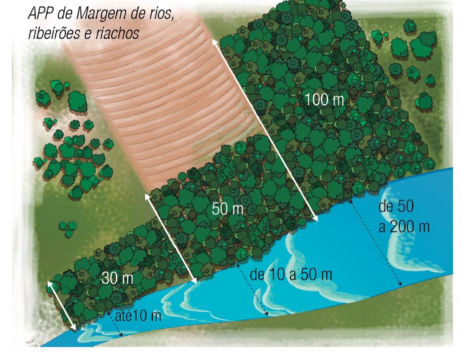 APPs Úmidas QUAIS SÃO AS ÁREAS DE PRESERVAÇÃO PERMANENTE Cursos da Água As faixas marginais de qualquer curso d água natural perene e intermitente, excluídos os efêmeros, desde a borda da calha do