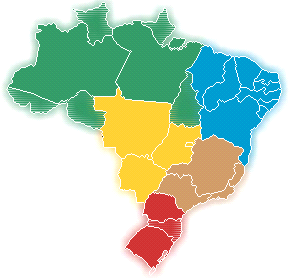 Sobre a Guararapes-Riachuelo A Guararapes é a maior confecção do Brasil e controladora da rede varejista Lojas Riachuelo, uma das maiores redes de lojas de departamento de vestuário do Brasil, com