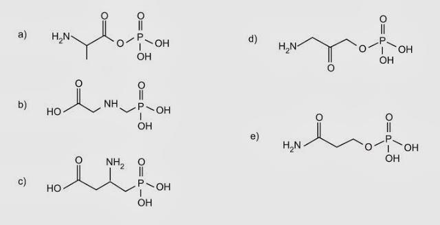 amino e fosfonato. A degradação do glifosato no solo é muito rápida e realizada por grande variedade de microrganismos, que usam o produto como fonte de energia e fósforo.