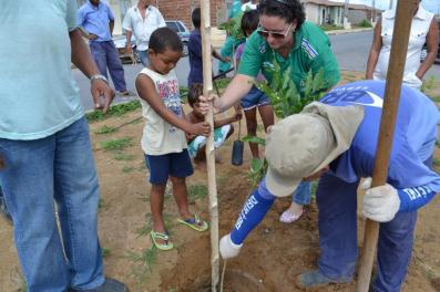 Plantio no Conjunto Benedito Bentes Bairro de Maceió