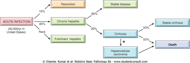 DOENÇAS INFECCIOSAS