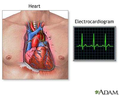 Para o coração realizar a sua função de bombeamento de sangue, efectua movimentos cardíacos de contracção e relaxamento da musculatura das suas