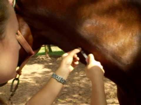 JUGULAR, CUIDADO COM FLEBITE BILATERAL!