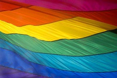 Um em cada quatro brasileiros é homofóbico. o Instituto Brasileiro de Geografia e Estatística (IBGE) encontrou 60 mil brasileiros que declararam viver com alguém do mesmo sexo.